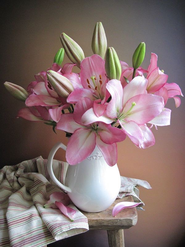 مدل رنگ روغن اورژینال